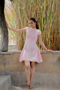 Waist Fitted Middi Dress